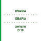ОВАРИА (OVARIA) D 10 ампулы 10x1 мл - Гомеопатия WALA HEILMITTEL