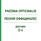 ПЕОНИЯ ОФФИЦИНАЛИС (PAEONIA OFFICINALIS) D 4 раствор 20 мл - Гомеопатия DHU