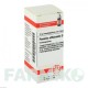 ПЕОНИЯ ОФФИЦИНАЛИС (PAEONIA OFFICINALIS) D 6 глобули 10 г - Гомеопатия DHU