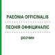 ПЕОНИЯ ОФФИЦИНАЛИС (PAEONIA OFFICINALIS) раствор 50 мл - Гомеопатия DHU