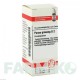 ПАНАКС ГИНЗЕНГ (PANAX GINSENG) D 2 глобули 10 г - Гомеопатия DHU