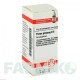 ПАНАКС ГИНЗЕНГ (PANAX GINSENG) D 6 глобули 10 г - Гомеопатия DHU