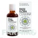 ПАССИФЛОРА КУРАРИНА (PASSIFLORA CURARINA) капли 50 мл - Пассифлора трава HARRAS PHARMA CURARINA