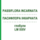 ПАССИФЛОРА ИНКАРНАТА (PASSIFLORA INCARNATA) LM XXIV глобули 5 г - Гомеопатия DHU