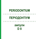 ПЕРИОДОНТИУМ (PERIODONTIUM) D 8 ампулы 10x1 мл - Гомеопатия WALA HEILMITTEL