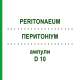 ПЕРИТОНИУМ (PERITONAEUM) D 10 ампулы 10x1 мл - Гомеопатия WALA HEILMITTEL