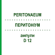 ПЕРИТОНИУМ (PERITONAEUM) D 12 ампулы 10x1 мл - Гомеопатия WALA HEILMITTEL