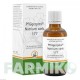 ФЛЮГЕРПЛЕКС (PFLUGERPLEX) капли 50 мл - Гомеопатия HOMOOPATHISCHES ALEXANDER PFLUGER