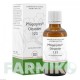 ФЛЮГЕРПЛЕКС (PFLUGERPLEX) капли 50 мл - Гомеопатия HOMOOPATHISCHES ALEXANDER PFLUGER