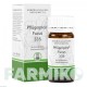 ФЛЮГЕРПЛЕКС (PFLUGERPLEX) таблетки 100 шт - Гомеопатия HOMOOPATHISCHES ALEXANDER PFLUGER