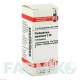 ФЕЛЛАНДРИУМ АКВАТИКУМ (PHELLANDRIUM AQUATICUM) C 30 глобули 10 г - Гомеопатия DHU