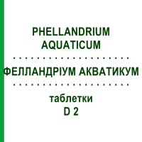ФЕЛЛАНДРІУМ АКВАТИКУМ (PHELLANDRIUM AQUATICUM) D 2 таблетки 80 шт - Гомеопатія DHU