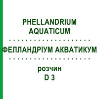 ФЕЛЛАНДРІУМ АКВАТИКУМ (PHELLANDRIUM AQUATICUM) D 3 розчин 50 мл - Гомеопатія DHU