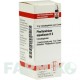 ФЕЛЛАНДРИУМ АКВАТИКУМ (PHELLANDRIUM AQUATICUM) D 6 глобули 10 г - Гомеопатия DHU