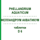 ФЕЛЛАНДРИУМ АКВАТИКУМ (PHELLANDRIUM AQUATICUM) D 6 таблетки 80 шт - Гомеопатия DHU