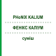ФЕНИКС КАЛИУМ (PHoNIX KALIUM) смесь 50 мл - Гомеопатия PHONIX LABORATORIUM