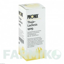 ФЕНИКС ТУЯ (PHoNIX THUJA) смесь 50 мл - Гомеопатия PHONIX LABORATORIUM