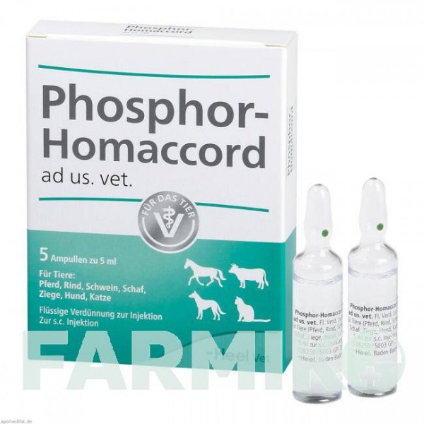ФОСФОР ХОМАККОРД (PHOSPHOR HOMACCORD) ампулы 5 шт - Гомеопатия BIOLOGISCHE HEILMITTEL HEEL