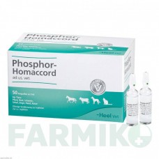 ФОСФОР ХОМАККОРД (PHOSPHOR HOMACCORD) ампулы 50 шт - Гомеопатия BIOLOGISCHE HEILMITTEL HEEL