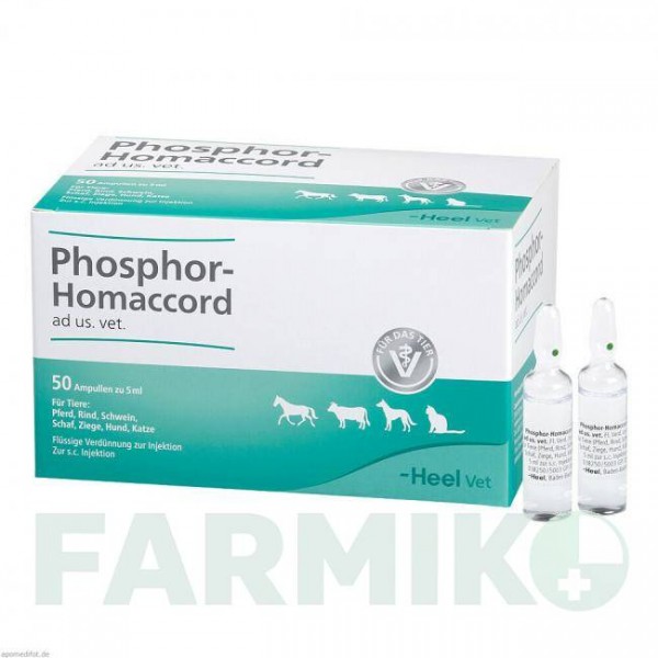 ФОСФОР ХОМАККОРД (PHOSPHOR HOMACCORD) ампулы 50 шт - Гомеопатия BIOLOGISCHE HEILMITTEL HEEL