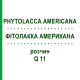 ФИТОЛАККА АМЕРИКАНА (PHYTOLACCA AMERICANA) Q 11 раствор 15 мл - Гомеопатия GUDJONS