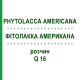 ФИТОЛАККА АМЕРИКАНА (PHYTOLACCA AMERICANA) Q 16 раствор 15 мл - Гомеопатия GUDJONS