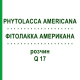 ФИТОЛАККА АМЕРИКАНА (PHYTOLACCA AMERICANA) Q 17 раствор 15 мл - Гомеопатия GUDJONS