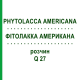 ФИТОЛАККА АМЕРИКАНА (PHYTOLACCA AMERICANA) Q 27 раствор 15 мл - Гомеопатия GUDJONS