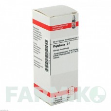 ФИТОЛАККА (PHYTOLACCA) D 1 раствор 20 мл - Гомеопатия DHU