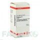 ФИТОЛАККА (PHYTOLACCA) D 1 таблетки 200 шт - Гомеопатия DHU