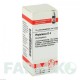 ФИТОЛАККА (PHYTOLACCA) D 4 глобули 10 г - Гомеопатия DHU