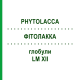ФИТОЛАККА (PHYTOLACCA) LM XII глобули 5 г - Гомеопатия DHU