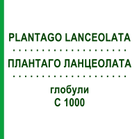 ПЛАНТАГО ЛАНЦЕОЛАТА (PLANTAGO LANCEOLATA) C 1000 глобули 10 г - Гомеопатия DHU