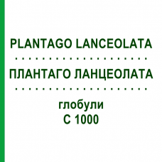 ПЛАНТАГО ЛАНЦЕОЛАТА (PLANTAGO LANCEOLATA) C 1000 глобули 10 г - Гомеопатия DHU