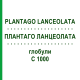 ПЛАНТАГО ЛАНЦЕОЛАТА (PLANTAGO LANCEOLATA) C 1000 глобули 10 г - Гомеопатия DHU