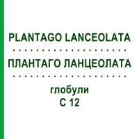 ПЛАНТАГО ЛАНЦЕОЛАТА (PLANTAGO LANCEOLATA) C 12 глобули 10 г - Гомеопатия DHU