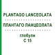 ПЛАНТАГО ЛАНЦЕОЛАТА (PLANTAGO LANCEOLATA) C 15 глобули 10 г - Гомеопатия DHU