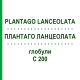 ПЛАНТАГО ЛАНЦЕОЛАТА (PLANTAGO LANCEOLATA) C 200 глобули 10 г - Гомеопатия DHU
