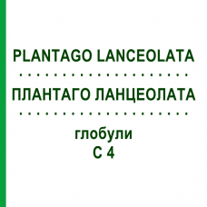 ПЛАНТАГО ЛАНЦЕОЛАТА (PLANTAGO LANCEOLATA) C 4 глобули 10 г - Гомеопатия DHU