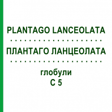 ПЛАНТАГО ЛАНЦЕОЛАТА (PLANTAGO LANCEOLATA) C 5 глобули 10 г - Гомеопатия DHU