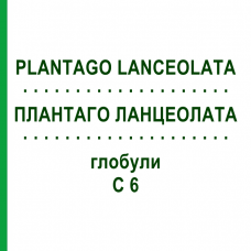 ПЛАНТАГО ЛАНЦЕОЛАТА (PLANTAGO LANCEOLATA) C 6 глобули 10 г - Гомеопатия DHU