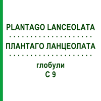 ПЛАНТАГО ЛАНЦЕОЛАТА (PLANTAGO LANCEOLATA) C 9 глобули 10 г - Гомеопатия DHU