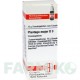 ПЛАНТАГО МАЙОР (PLANTAGO MAJOR) D 3 глобули 10 г - Гомеопатия DHU