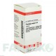 ПЛАНТАГО МАЙОР (PLANTAGO MAJOR) D 6 таблетки 80 шт - Гомеопатия DHU