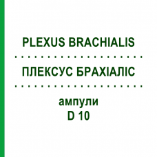 ПЛЕКСУС БРАХІАЛІС (PLEXUS BRACHIALIS) D 10 ампули 10x1 мл - Гомеопатія WALA HEILMITTEL