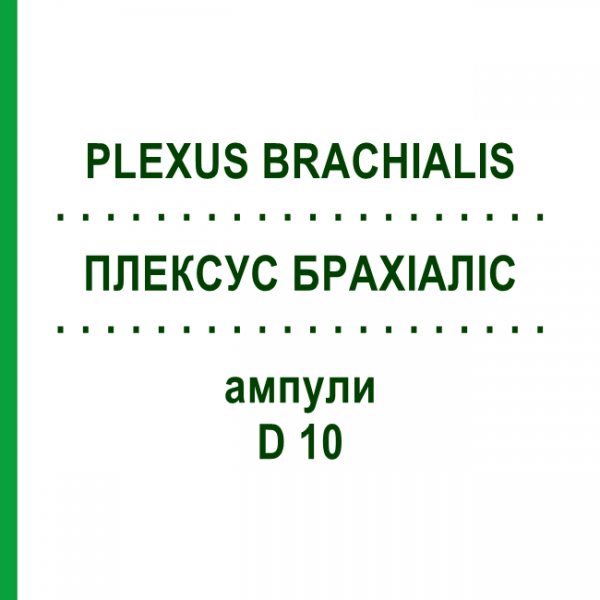 ПЛЕКСУС БРАХІАЛІС (PLEXUS BRACHIALIS) D 10 ампули 10x1 мл - Гомеопатія WALA HEILMITTEL