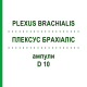 ПЛЕКСУС БРАХИАЛИС (PLEXUS BRACHIALIS) D 10 ампулы 10x1 мл - Гомеопатия WALA HEILMITTEL