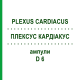 ПЛЕКСУС КАРДИАКУС (PLEXUS CARDIACUS) D 6 ампулы 10x1 мл - Гомеопатия WALA HEILMITTEL