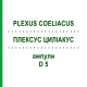 ПЛЕКСУС ЦИЛИАКУС (PLEXUS COELIACUS) D 5 ампулы 10x1 мл - Гомеопатия WALA HEILMITTEL