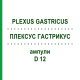 ПЛЕКСУС ГАСТРИКУС (PLEXUS GASTRICUS) D 12 ампулы 10x1 мл - Гомеопатия WALA HEILMITTEL